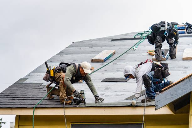 Professional Gutter Installation technician working in Wiggins, MS
